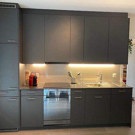 Beautiful Flat With Nice Lake And Mountain Views Weggis Extérieur photo