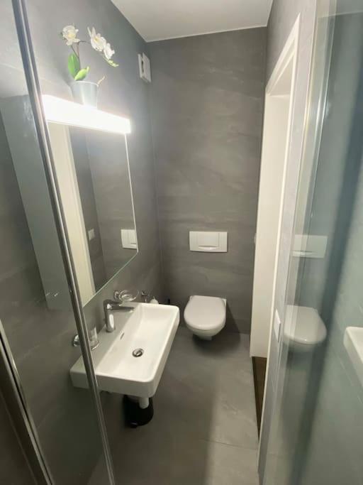 Beautiful Flat With Nice Lake And Mountain Views Weggis Extérieur photo