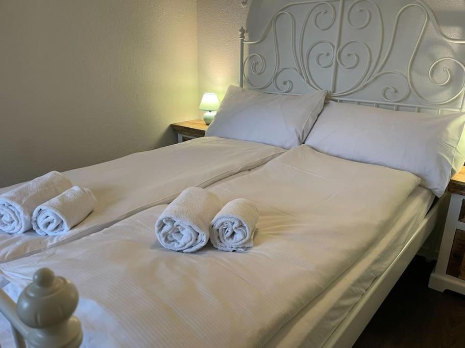 Beautiful Flat With Nice Lake And Mountain Views Weggis Extérieur photo