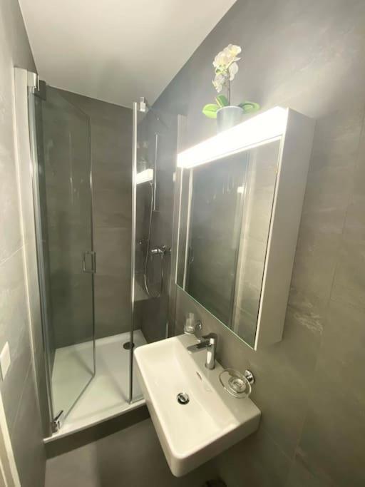Beautiful Flat With Nice Lake And Mountain Views Weggis Extérieur photo