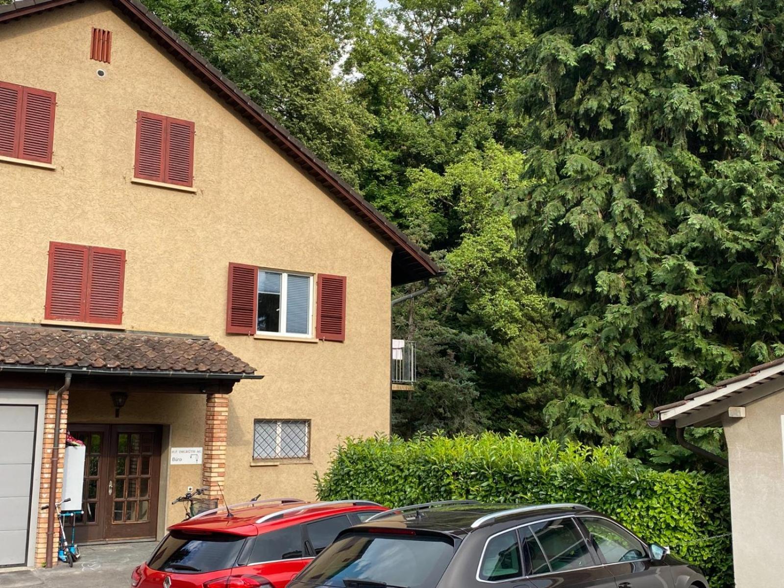Beautiful Flat With Nice Lake And Mountain Views Weggis Extérieur photo